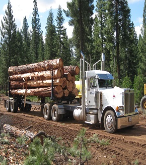 Logging-pic LoadMan