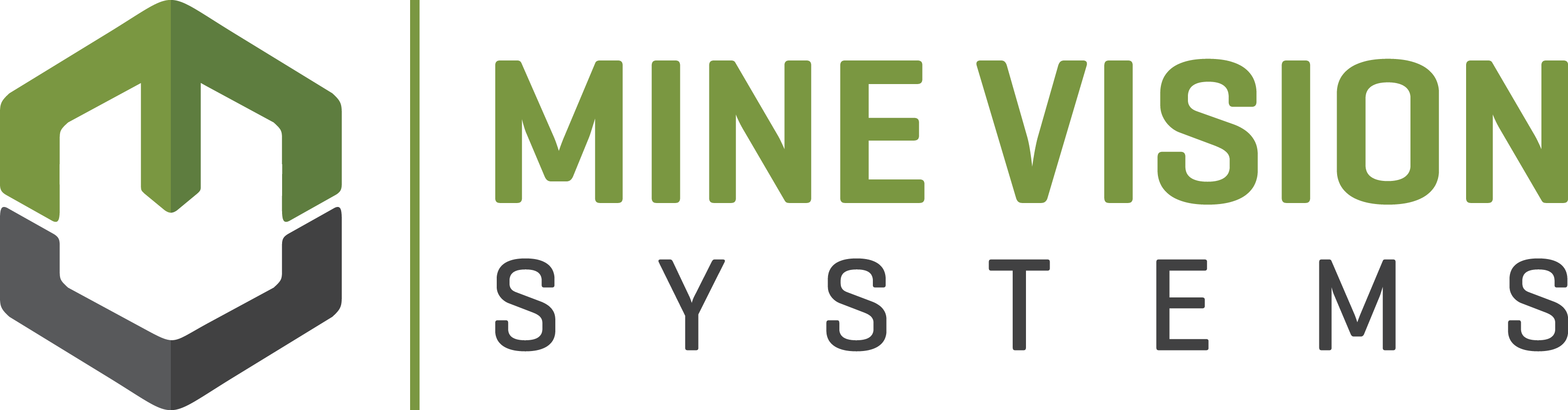 Mine Vision Systems Logo Light Standlaone